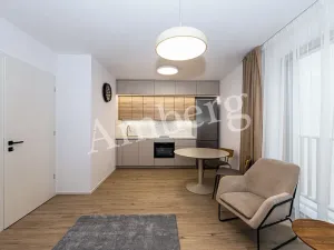 Pronájem bytu 1+kk, Praha - Karlín, Křižíkova, 32 m2