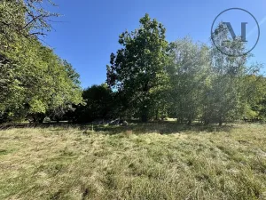 Prodej pozemku pro bydlení, Třeboň, 2630 m2