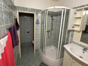 Pronájem bytu 1+kk, Praha - Nusle, Pod pramenem, 52 m2
