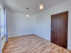 Prodej bytu 2+1, Plzeň, U Borských kasáren, 57 m2