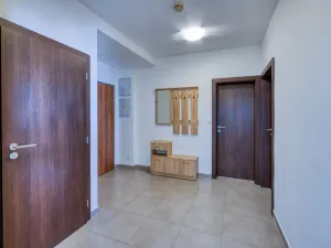Prodej bytu 2+1, Plzeň, U Borských kasáren, 57 m2