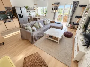 Prodej bytu 2+kk, Plzeň - Severní Předměstí, Elišky Krásnohorské, 67 m2