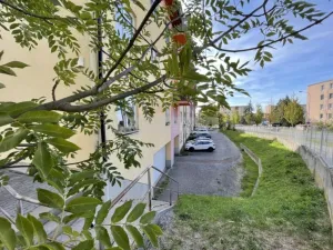 Prodej bytu 2+kk, Plzeň - Severní Předměstí, Elišky Krásnohorské, 67 m2