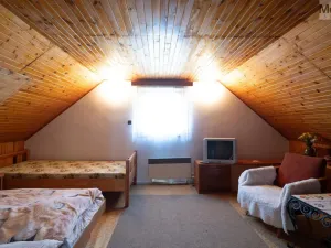 Prodej chaty, Čistá - Lhota, 97 m2