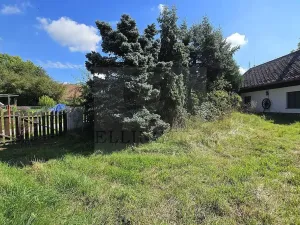 Prodej rodinného domu, Libáň - Zliv, 100 m2