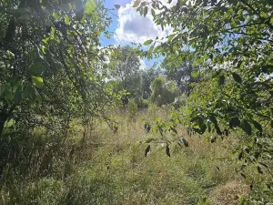 Prodej rodinného domu, Libáň - Zliv, 100 m2