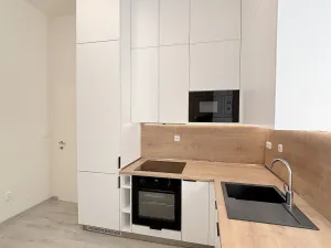 Pronájem bytu 1+1, Olomouc, Dobrovského, 47 m2