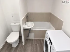 Pronájem bytu 1+1, Most, K. H. Borovského, 26 m2