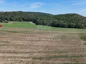 Prodej pozemku pro bydlení, Lety, 14217 m2