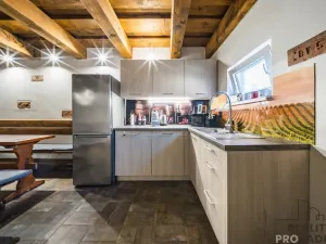 Prodej vinného sklepa, Domanín, 90 m2