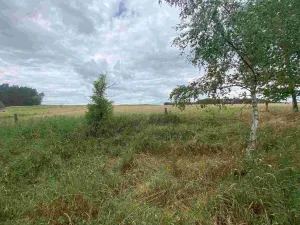 Prodej pozemku, Kladruby - Tuněchody, 2230 m2