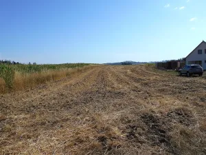 Prodej pozemku pro bydlení, Březejc, 4931 m2