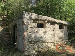 Prodej chaty, Lipová - Seč, 39 m2