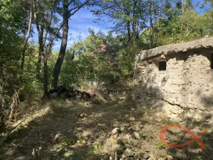 Prodej chaty, Lipová - Seč, 39 m2