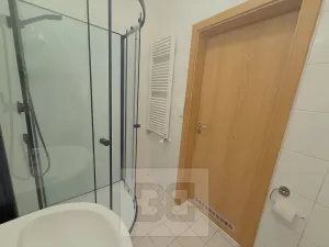 Pronájem bytu 1+kk, Praha - Čakovice, Rýnská, 38 m2