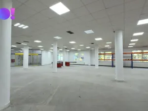 Pronájem obchodního prostoru, Karviná, Jaroslava Vrchlického, 1450 m2