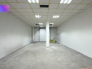 Pronájem obchodního prostoru, Karviná, Jaroslava Vrchlického, 1161 m2