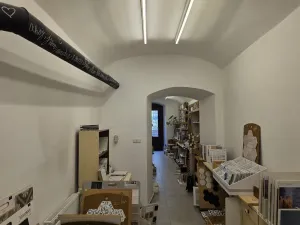 Pronájem obchodního prostoru, Plzeň, Bezručova, 35 m2