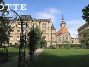 Pronájem obchodního prostoru, Plzeň, Bezručova, 35 m2
