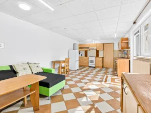 Prodej rodinného domu, Janovice nad Úhlavou, Spartakiádní, 370 m2