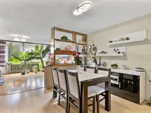 Prodej rodinného domu, Brodce, Pod ZDŠ, 160 m2