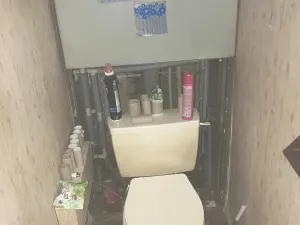 Dražba bytu 2+1, Nové Město pod Smrkem, Husova, 58 m2