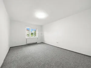 Prodej rodinného domu, Plzeň, Revoluční, 210 m2