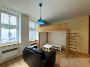 Pronájem bytu 1+kk, Plzeň, Rubešova, 25 m2