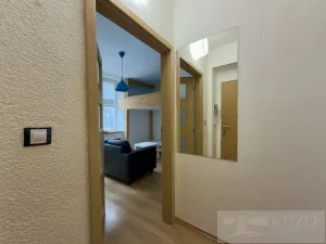Pronájem bytu 1+kk, Plzeň, Rubešova, 25 m2