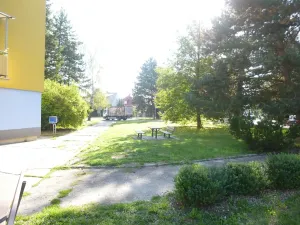 Prodej bytu 3+1, Milevsko, J. A. Komenského, 63 m2