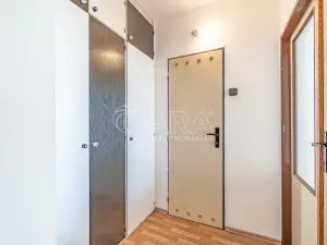 Prodej bytu 3+kk, Praha - Chodov, Vejvanovského, 61 m2
