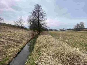 Dražba louky, Peč, 670 m2