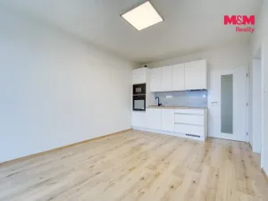 Pronájem bytu 2+kk, Plzeň - Jižní Předměstí, Poděbradova, 44 m2