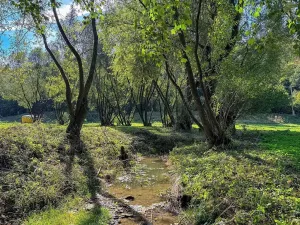 Prodej pozemku pro bydlení, Řepníky, 19850 m2