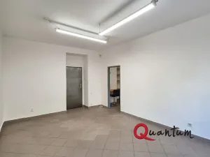 Pronájem obchodního prostoru, Praha - Žižkov, Hartigova, 45 m2