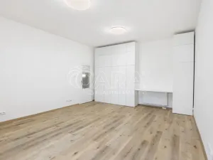 Pronájem bytu 3+kk, Praha - Vinohrady, Římská, 74 m2