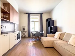 Pronájem bytu 2+kk, Praha - Vinohrady, Rybalkova, 39 m2