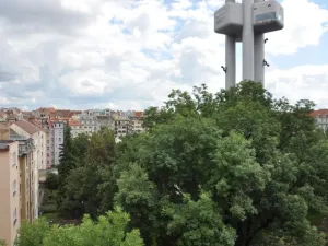 Pronájem bytu 1+1, Praha - Žižkov, Kubelíkova, 56 m2