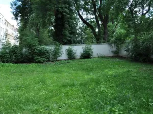 Pronájem bytu 1+1, Praha - Žižkov, Kubelíkova, 56 m2