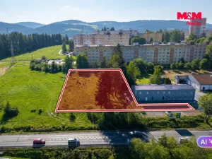 Prodej komerčního pozemku, Sokolov, Karla Havlíčka Borovského, 2821 m2