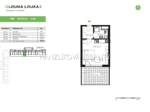 Pronájem bytu 1+kk, České Budějovice - České Budějovice 2, Volejbalistů, 30 m2