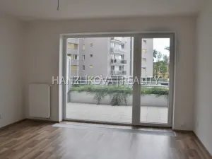 Pronájem bytu 1+kk, České Budějovice - České Budějovice 2, Volejbalistů, 30 m2