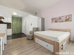 Pronájem bytu 1+kk, Praha - Smíchov, Nádražní, 28 m2