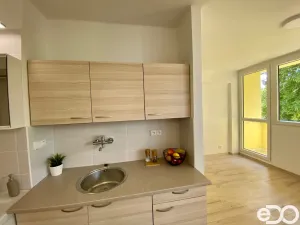 Pronájem bytu 1+kk, Mladá Boleslav, Jičínská, 37 m2