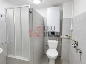 Prodej bytu 1+1, Staré Město, Velehradská, 30 m2