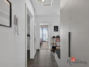 Prodej bytu 2+kk, Plzeň - Jižní Předměstí, U Borského parku, 56 m2