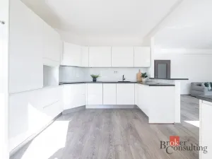 Prodej bytu 5+kk, Praha - Hodkovičky, Údolní, 135 m2