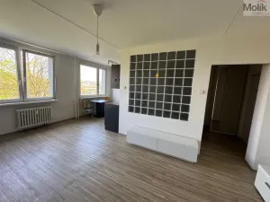 Prodej bytu 1+1, Most, Javorová, 35 m2