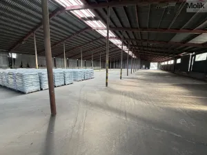Pronájem skladu, Malé Březno, 1800 m2