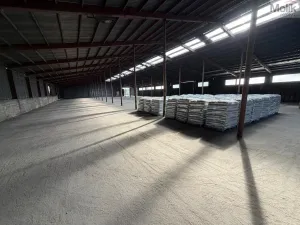 Pronájem skladu, Malé Březno, 900 m2